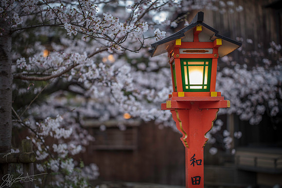 Gion Shirakawa 祇園白川 Kyoto Japan