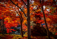 Eikan-do 永観堂, Kyoto Japan